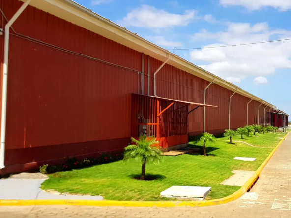 Ofi-Bodega-Pradexsa-06