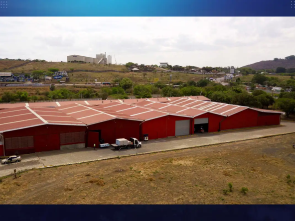 Ofi-Bodega-Pradexsa-09