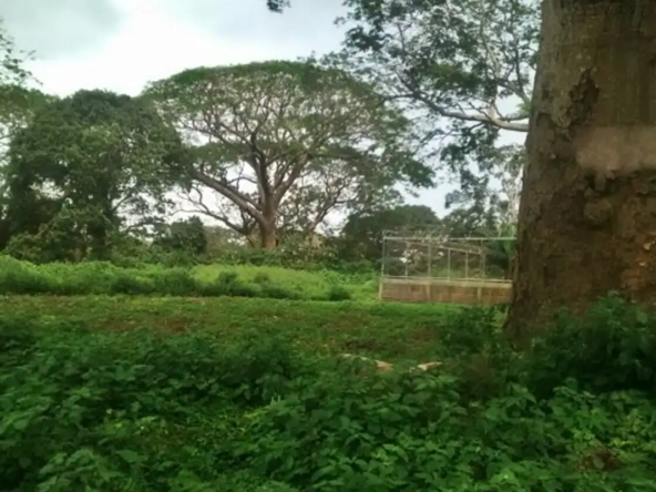 Lote-venta-Carazo-03