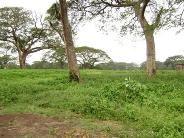 Lote-venta-Carazo-04