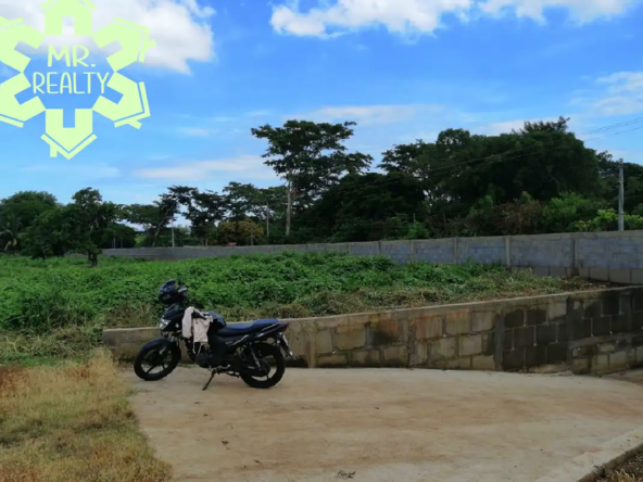 Terreno-En-Ticomo-CarreteraSur7-04