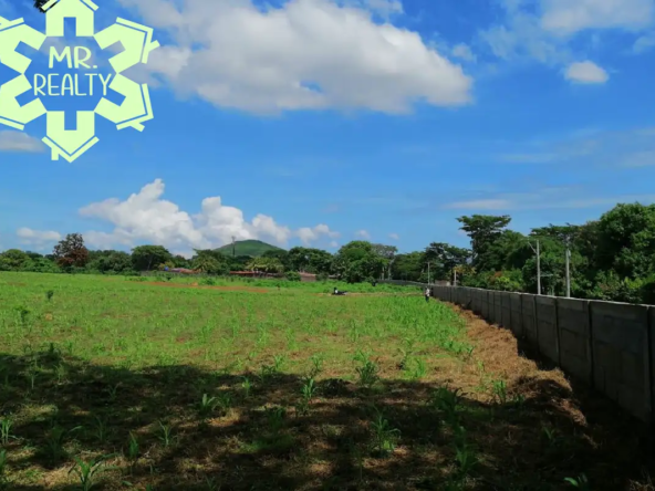 Terreno-En-Ticomo-CarreteraSur7-05