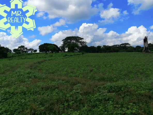 Terreno-En-Ticomo-CarreteraSur7-06