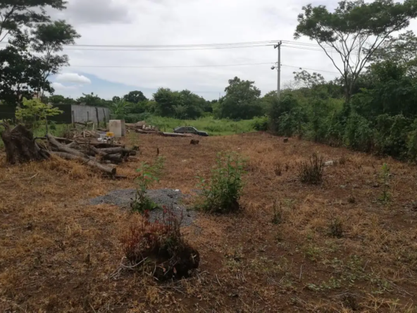 Terreno-Las-Colinas-02