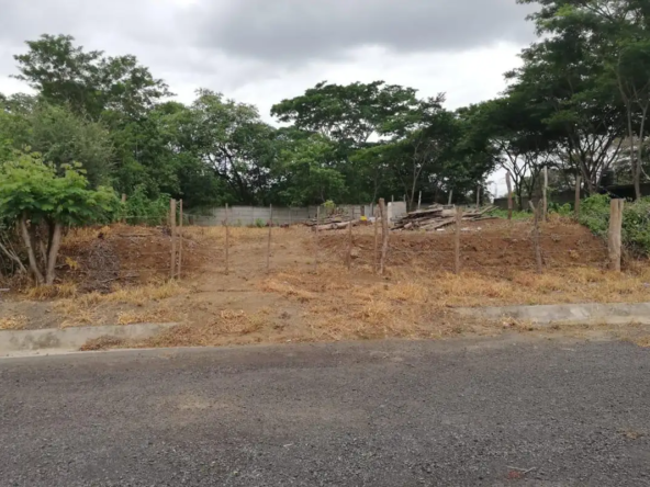 Terreno-Las-Colinas-03