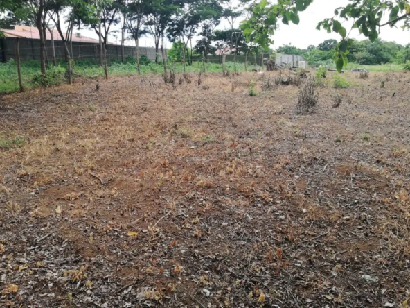 Terreno-Las-Colinas-05