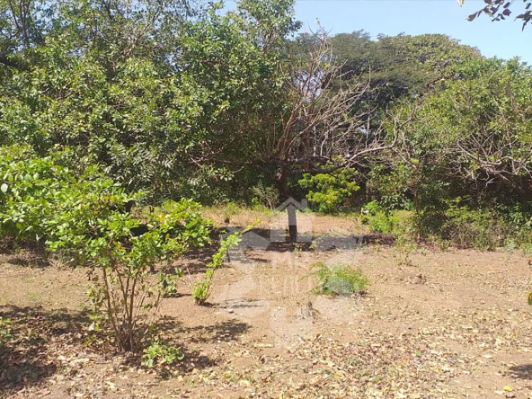 Terreno-5-manzanas-01