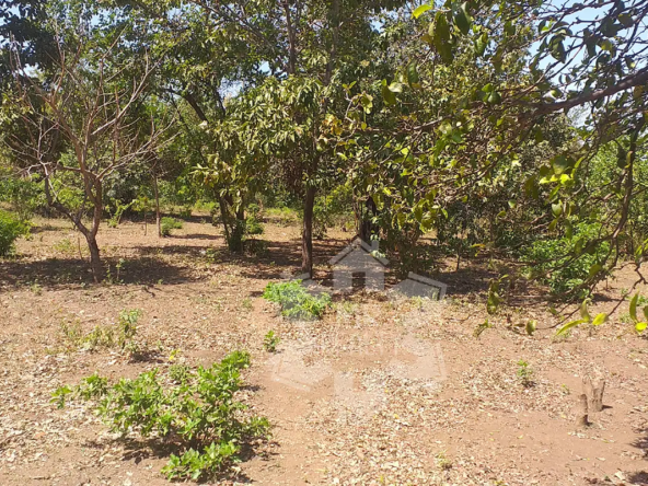 Terreno-5-manzanas-02